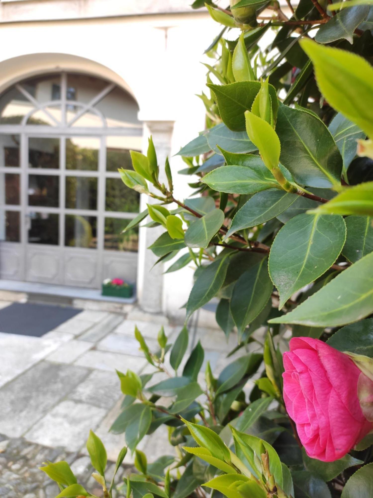 Casa Cannobio Εξωτερικό φωτογραφία